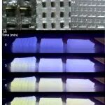 AFM | 甬江实验室方磊教授团队：无溶剂介导的热塑性聚氨酯复合材料-具有稳定、可逆的热荧光响应