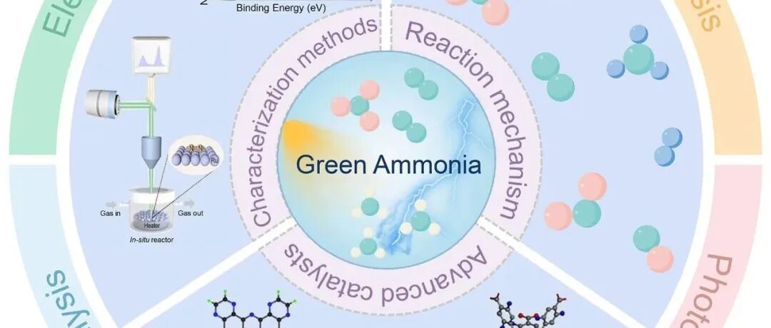 2025新锐科学家专刊 || 国家纳米科学中心赵慎龙教授等：多种可持续氨合成策略