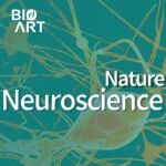 Nat Neurosci丨吴倩揭示人类与食蟹猴前额叶皮层出生后发育特点和关键差异