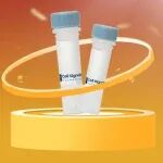 最后一周！CST年终钜惠，全线一抗买大送小