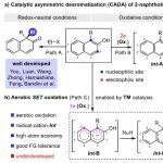 复旦朱灿团队：阴离子辅助铜/手性二胺催化氧气参与的氧化反应实现轴手性萘酚的动力学去芳构化螺环化反应