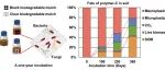 沈阳农业大学丁凡课题组EST｜生物降解地膜中聚合物碳的矿化作用及向土壤微生物生物量和有机质库的转化