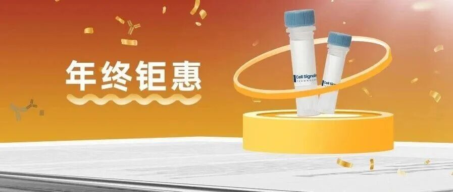 最后一周！CST年终钜惠，全线一抗买大送小