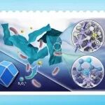 【Nat. Commun.】江西师大何纯挺团队：微生物绿色合成制备有机无机双掺杂电催化剂
