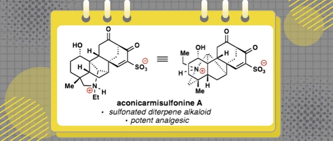 【JACS】美国加利福尼亚大学Thomas J. Maimone团队：Aconicarmisulfonine A的全合成