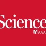 研究透视：介孔透明隔热材料 | Science