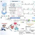 长春理工大学张健夫教授团队 CEJ：通过精确和协同控制聚氨酯薄膜的形状和颜色变换 实现了一石二鸟的可编程温度门控4D加密