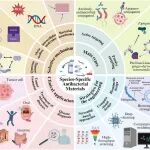 四川大学华西口腔医院杨佼佼、梁坤能 Small：菌种特异性抗菌材料 - 从设计到应用
