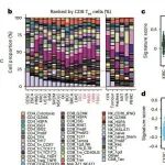 Nature子刊 | 角色互换，上海交通大学杨帆等团队开发新型免疫治疗策略：让“旁观者”变战斗群，让“抑制者”变助推器