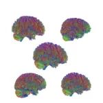 24小时热门｜9岁、32岁、66岁、83岁，人类大脑的四个转折点｜散户突然关注，往往意味着股价一周内会下降