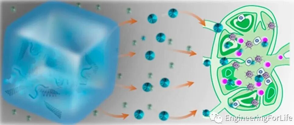【负载与控释】应用中光固化水凝胶如何选择？