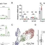 JEM | 郑页/刘志等揭示REV-ERB促进肠道稳态新机制