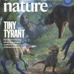 《自然》封面故事：小号霸王龙实为新物种︱2025年12月11日刊