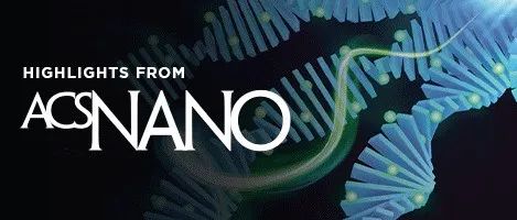 【转载】ACS Nano | 浙大团队开发靶向巨噬细胞亚群纳米系统，调控铁代谢对抗骨转移