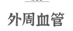 Adv Sci丨揭秘硬骨抑素蛋白心血管保护机制