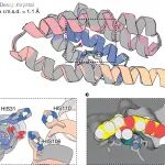 诺奖得主David Baker团队最新突破：AI设计高活性酶