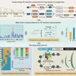 文献解读 | 华中农业大学联合发布全球首个油菜泛转座子图谱，揭示“跳跃基因”调控开花期和产量新机制