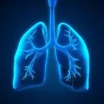 针对肺癌耐药难题，科学家发现关键靶点