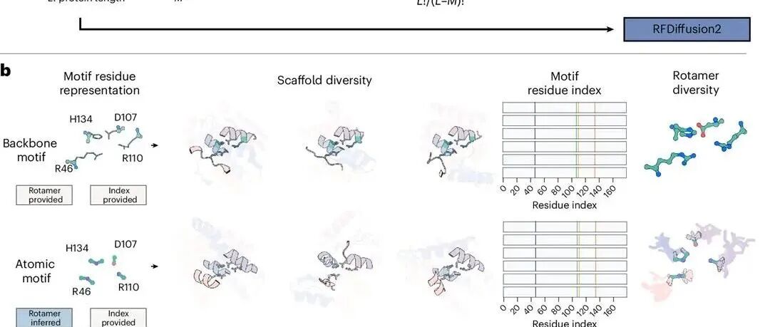 Nat. Methods | 使用RFdiffusion2在原子层面上实现酶活性位点支架的设计
