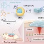 ACS Nano：供氧型纳米气泡水凝胶用于加速手术伤口愈合和天然皮肤结构恢复
