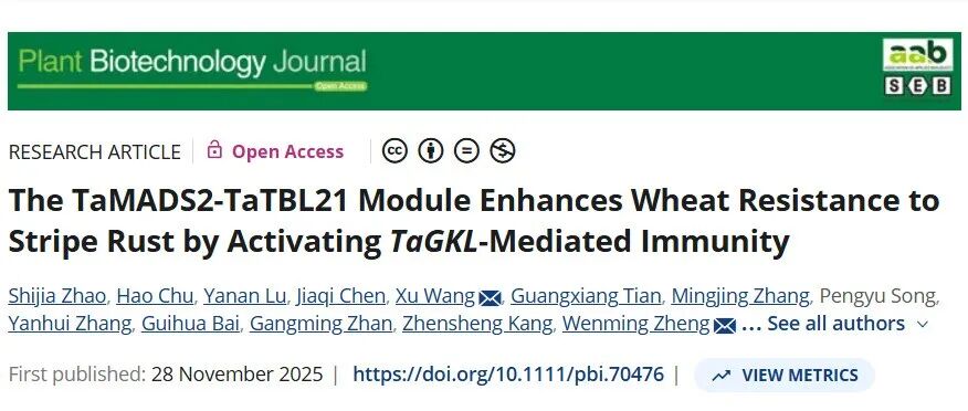 文献分享|TaMADS2-TaTBL21 模块通过激活 TaGKL 介导的免疫增强小麦对条锈病的抗性
