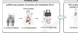 德国科隆大学揭示Her2介导免疫逃逸的分子机制
