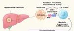 Cell Research | 厦门大学林圣彩院士等团队发现“辟谷精”为肝癌治疗开辟代谢免疫新路径实现肝癌小鼠“荷瘤生存”