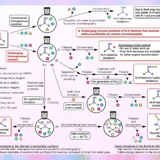 【Nat. Commun.】东京农业大学/乙卯研究所：固态酸催化实现N–H酮亚胺的可持续无纯化合成