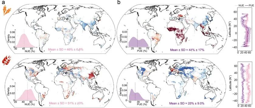 重构农业生态效率的全球图谱：《自然·通讯》最新研究揭示“高投入—低效率”的系统困境与突破路径