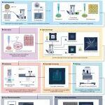 研究进展：冷冻电镜 | Nature Reviews Methods Primers