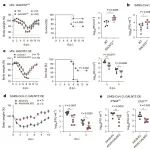 Nat Microbiol | 广州医科大学赵金存等团队合作确定呼吸道病毒感染的抗病毒因子