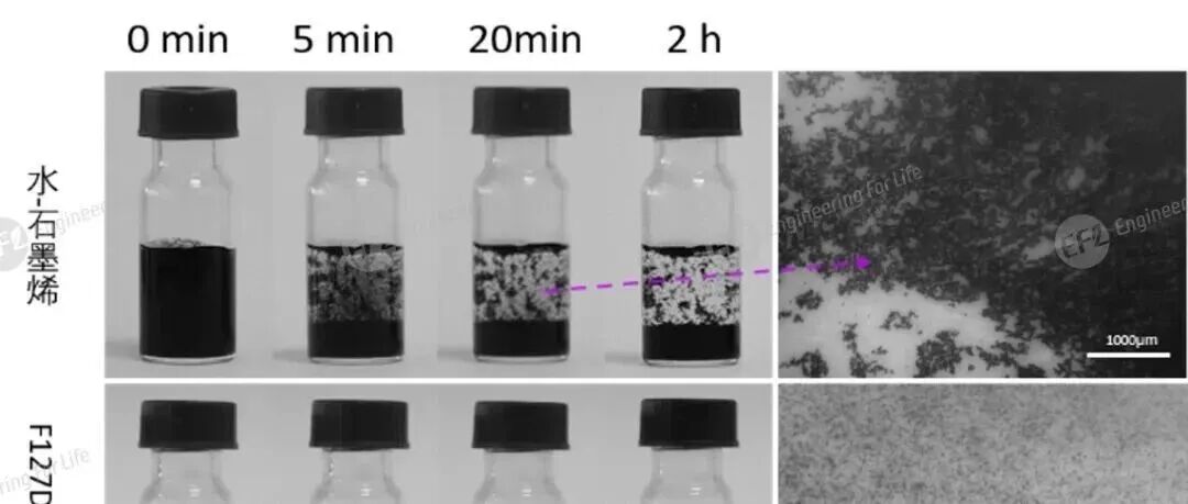 疏水药物负载小能手！光固化聚醚F127二丙烯酸酯水凝胶！