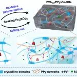 燕山大学焦体峰、秦志辉团队 Macromolecules: 盐析效应与原位聚合协同构筑高强韧环境耐受性导电聚合物有机水凝胶