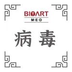 Adv Sci丨解码“弱结合强中和”：广谱中和抗体催化病毒聚集新机制