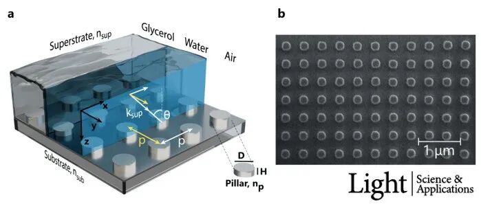 Light | 介电超表面中集体光学共振的强耦合