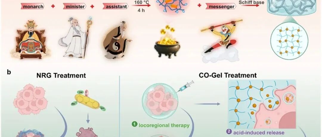 文献分享 | AFM | 通过将天然药物加工成碳点来重编程肿瘤细胞死亡，可克服胶原蛋白屏障并激活抗肿瘤免疫力