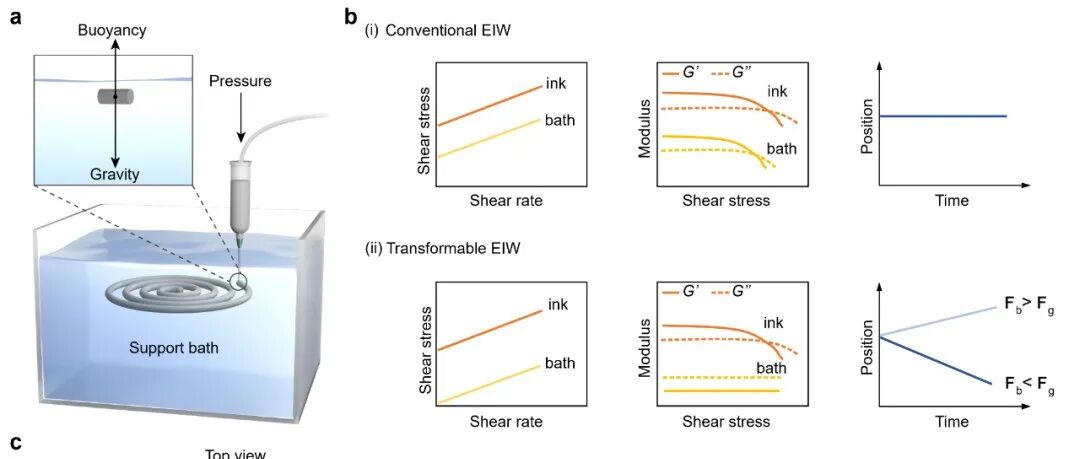 北京科技大学张靓团队 Nat. Commun.:沉浮式墨水直写3D成型