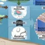 25年12月12日文献情报（12篇）