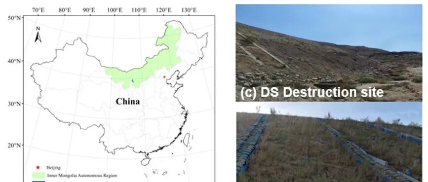 【他山之石】EM|干旱煤矿区生态修复过程中土壤有机碳固存的多重途径：植物来源 vs. 微生物来源的贡献