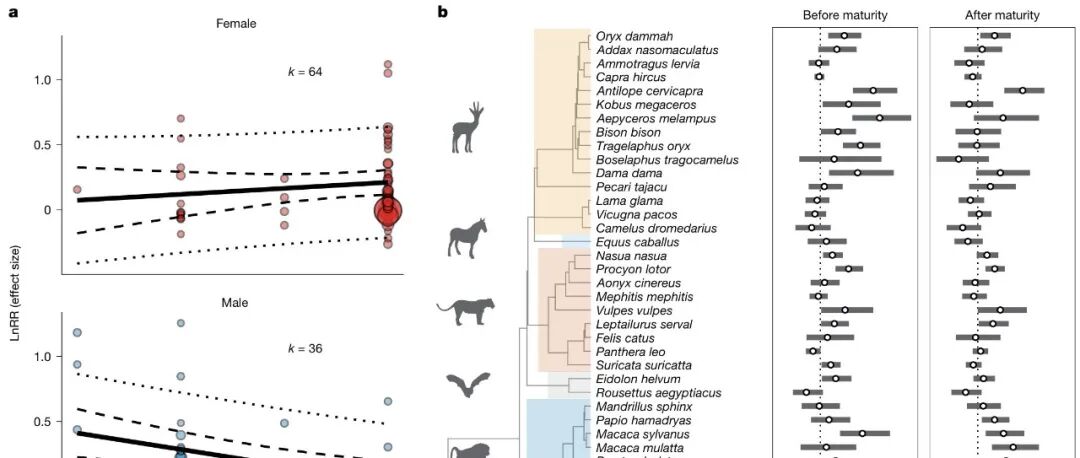 Nature | 惊人发现：绝育或避孕，显著延长寿命