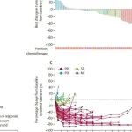 Lancet子刊 | 吴一龙团队发布MET抑制剂治疗晚期非小细胞肺癌II期临床试验研究结果