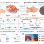 南京林业大学陈楚楚教授课题组 CEJ：受蟹壳天然结构启发的甲壳素微纳米纤维基可穿戴传感基材绿色合成方法