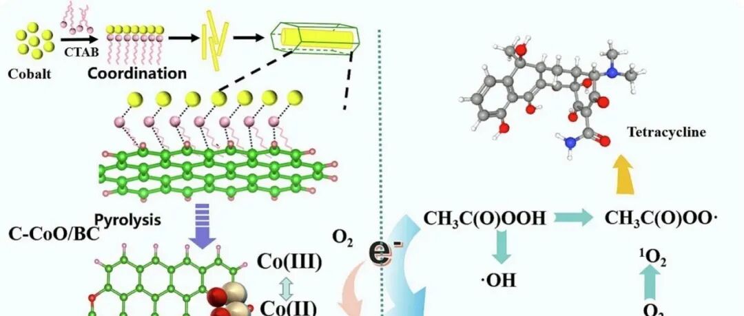 文献速递|华侨大学ASS:CTAB辅助制备氧化钴/BC及其活化性能研究，以及过乙酸在水中有效降解四环素的机理分析