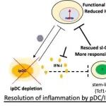 STM丨马里兰大学苏立山团队发现HIV-1抑制抗病毒T细胞新机制
