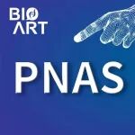 PNAS |&#160;于烨/汪津团队：离子通道偏好性激活与功能编码再获实证