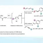 【Nat. Catal.】复旦蔡泉课题组：过渡金属催化的Type II型全碳反电子需求[4+2]环加成反应研究进展