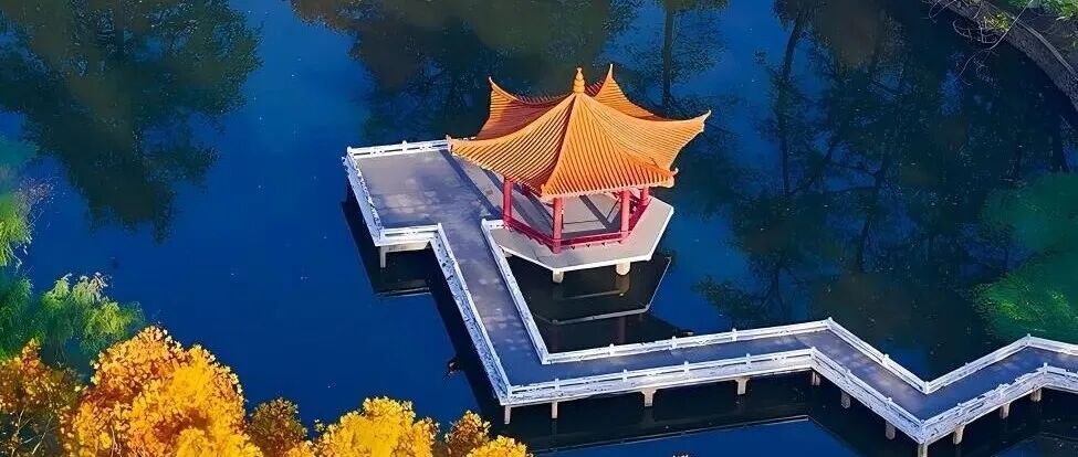 华中科技大学黄永安团队：仿生昆虫翼-纳米结构制造 | Science Advances