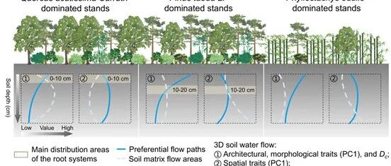南京林业大学水保专业硕士生在Nature旗下期刊发文！