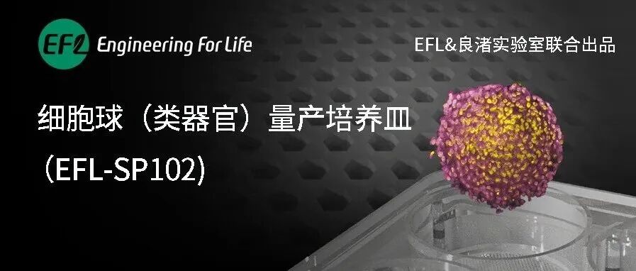 细胞球（类器官）量产培养皿（EFL-SP102)