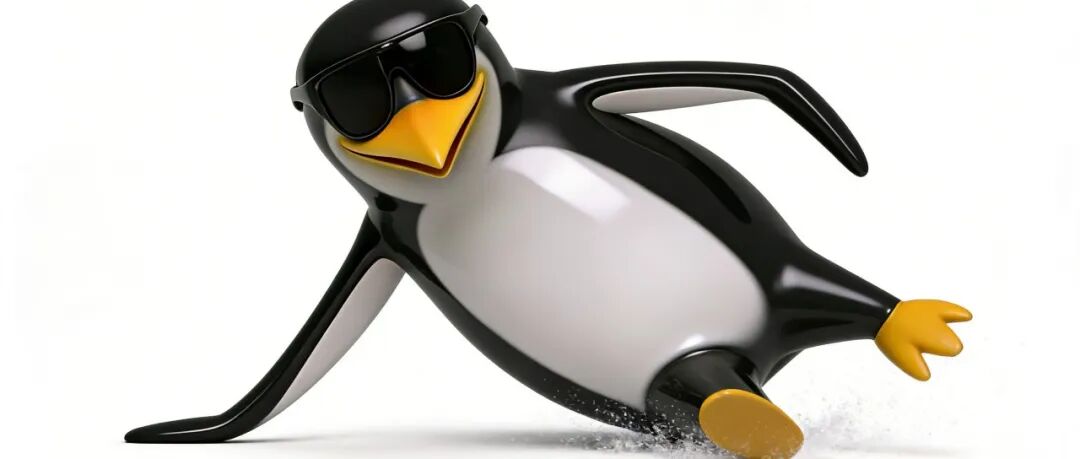 雪地摔跤后，我开始跟“高雅人士”学走路